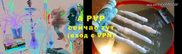 СК Куйбышев