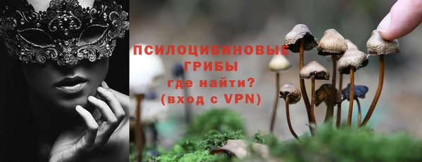 СК Куйбышев