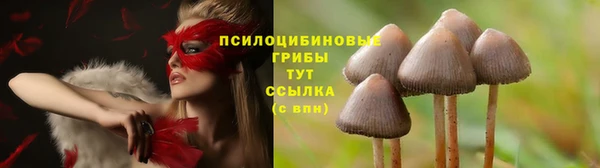 мет Кулебаки