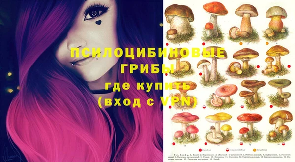 spice Кукмор