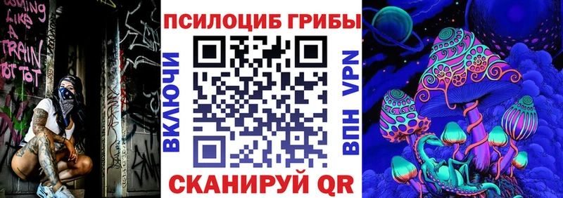 Галлюциногенные грибы Psilocybine cubensis Новодвинск